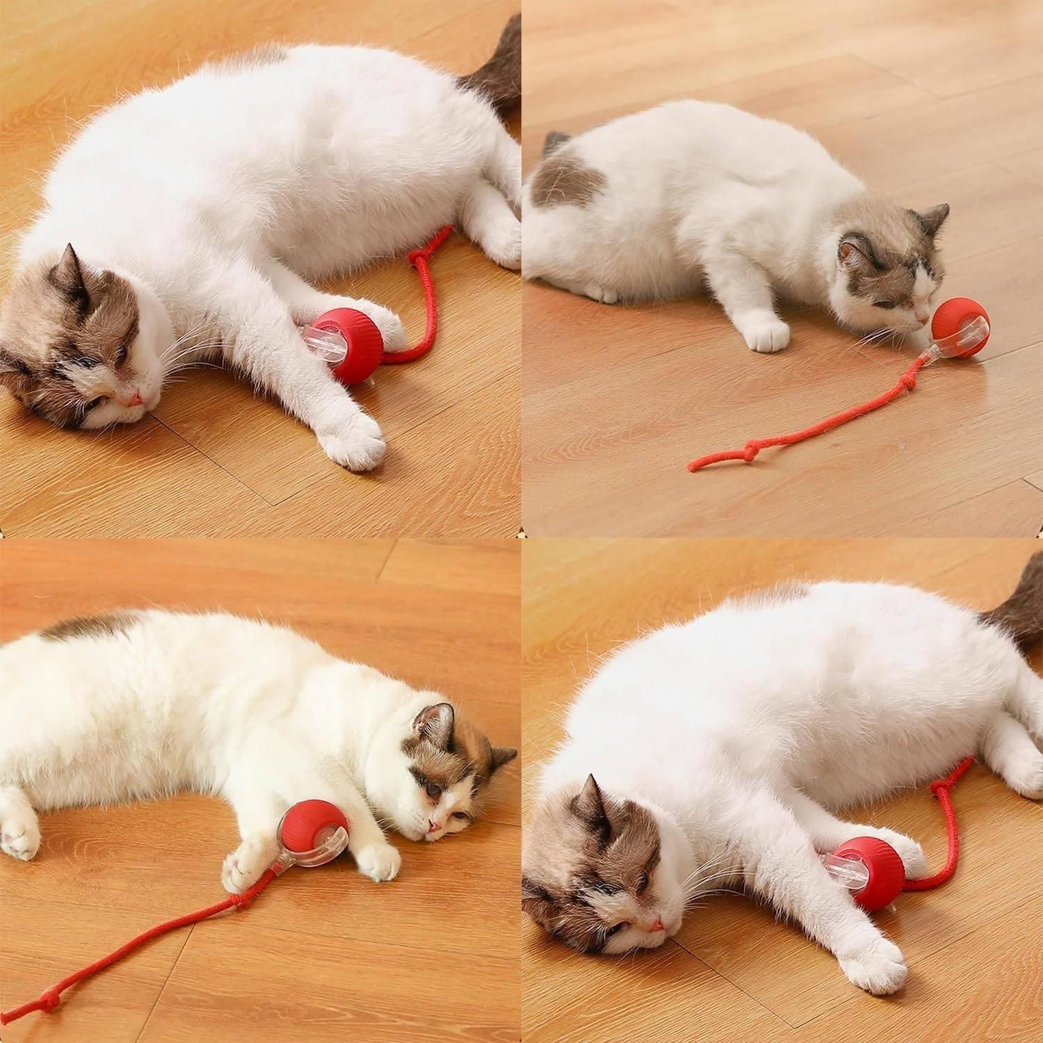 Viral Rolling Ball – Interactive Cat Ball Toy