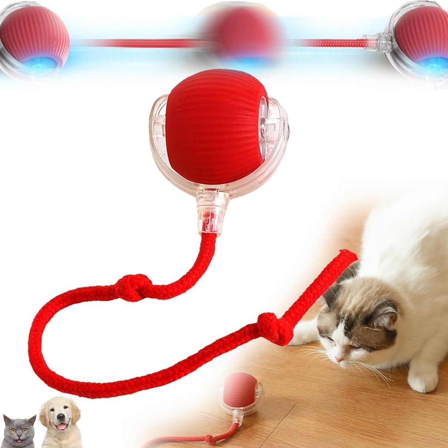 Viral Rolling Ball – Interactive Cat Ball Toy